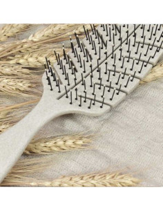 BETER CEPILLO NATURAL FIBER