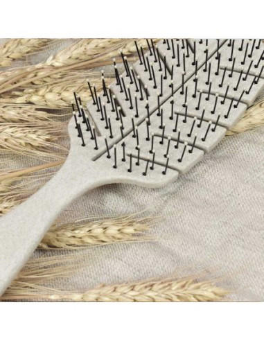 BETER CEPILLO NATURAL FIBER